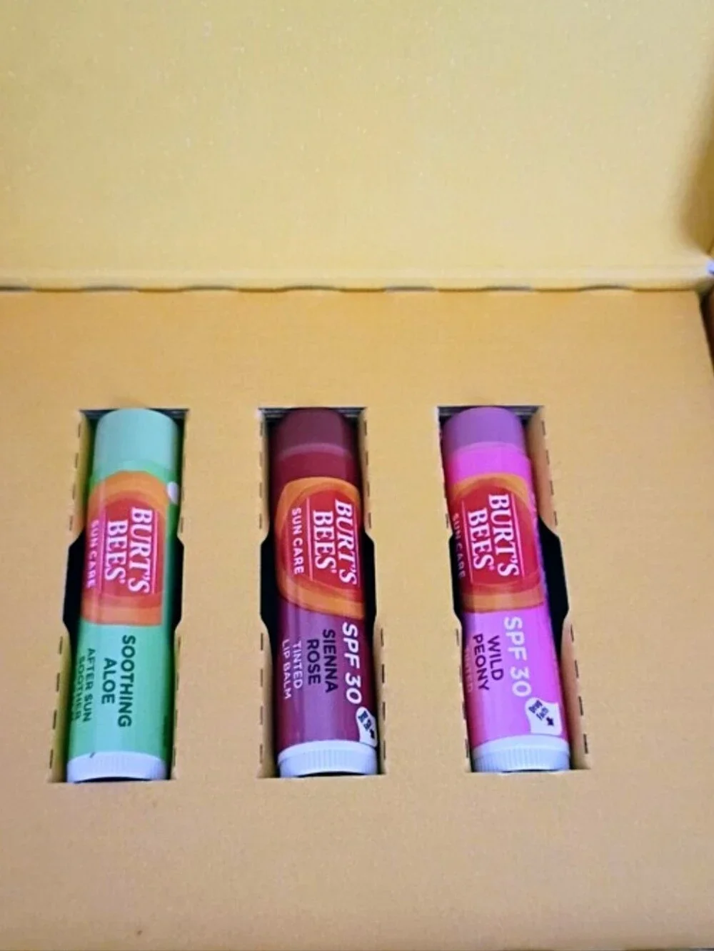 Burt's Bees Moisturizing Lip Balm